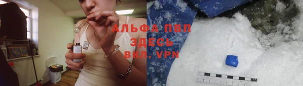 сатива Гусиноозёрск