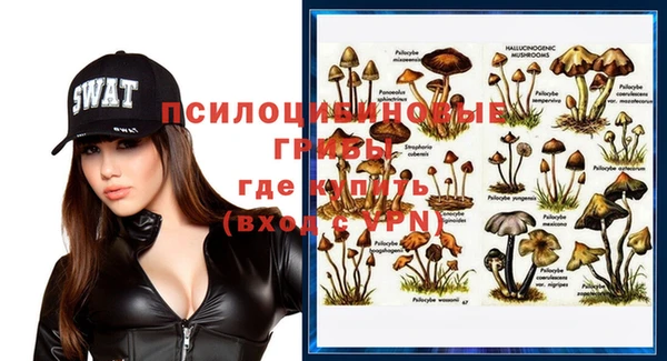 дмт Апатиты