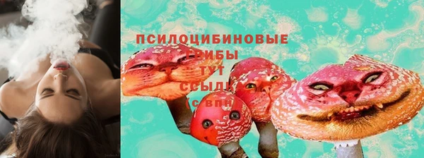 СК Дмитриев