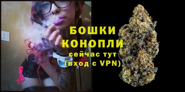 СК Дмитриев